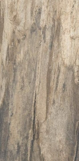 Emil Ceramica Petrified Tree Beige Bark 45х90