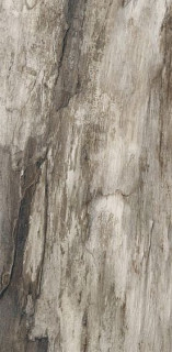 Emil Ceramica Petrified Tree Grey Bark 45х90