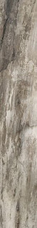Emil Ceramica Petrified Tree Grey Bark 15х90