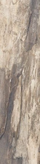 Emil Ceramica Petrified Tree Beige Bark 22,5х90