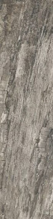 Emil Ceramica Petrified Tree Grey Bark 22,5х90