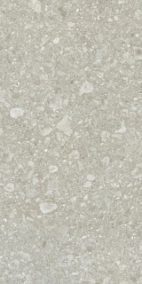 Ergon Lombarda Plus Cenere 60x120