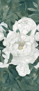 Ergon Pigmento Peonia \