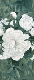 Ergon Pigmento Peonia \