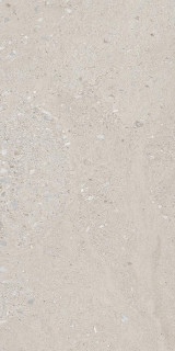 Ergon Shellstone Gray Nat Rett R10 60x120H0.95