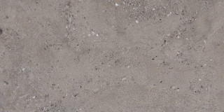 Ergon Shellstone Dark Gray Nat Rett R10 30x60H0.85