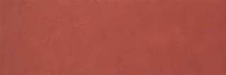 Fap Color Line Marsala 25x75