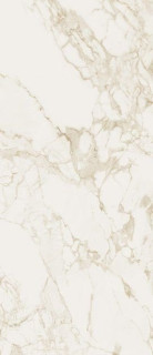 Fap Ceramiche Maxxi Roma Calacatta Silk 120x278