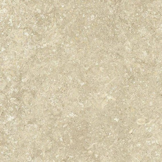 Fap Nord Natural R10 60х60
