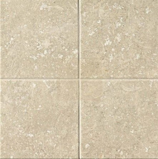 Fap Nord Natural Matt 20x20