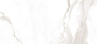 Fap Roma 110 Calacatta 50x110
