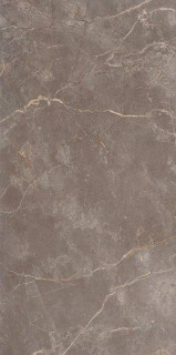 Fap Ceramiche Roma Stone Pietra Brown Matt 80x160