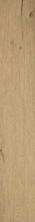 Fap Roots Honey Out R11 20x120