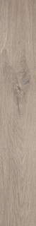 Fap Roots Taupe Matt R9 20x120