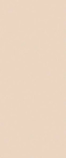 Fap Ceramiche True Color Talc 50x120