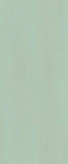Fap Ceramiche True Color Matcha 50x120