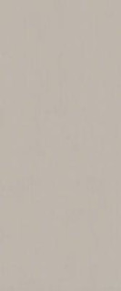 Fap Ceramiche True Color Fossil 50x120