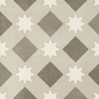 Fioranese Cementine Retro 5 20x20