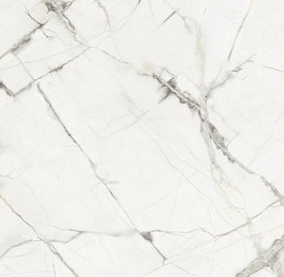 Fioranese Marmorea Intensa Bianco Mat 60x60