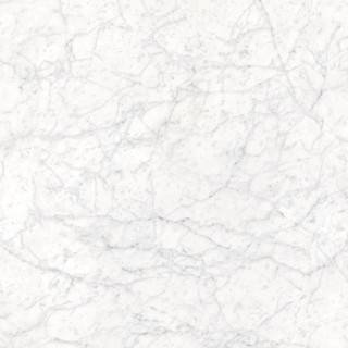 Fioranese Marmorea Bianco Gioia 60х60