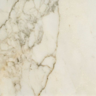 Fioranese Prestige Borghini Lev 74x74