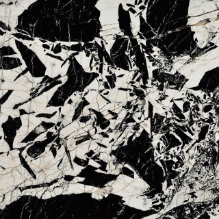 Fioranese Prestige Black Antique Lev 74x74