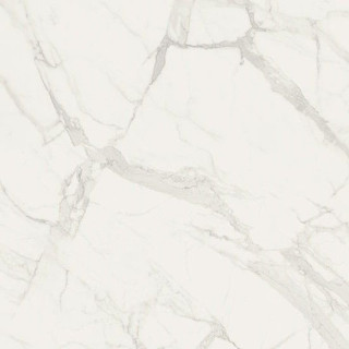 Fioranese Marmorea Bianco Statuario Lev 60х60