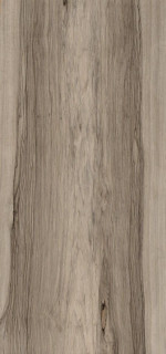Fioranese Sfrido Frake Tortora 60х120
