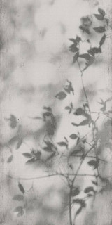 Flaviker Art Walls Shadow Nat R 60x120