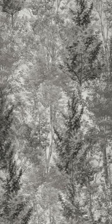 Flaviker Art Walls Landscape Nat 6mm 120x280