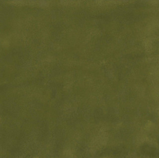 Florim SensiColore Muschio Glossy 11.6x11.6H0.85