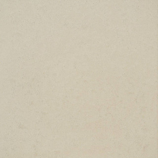FMG TerraPura Greige Natural Plus 120x120H1
