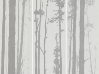 Fondovalle Dream Light Side 120x278H0.6