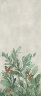 Fondovalle Dream Garden 120x278