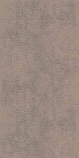 Imola Forma CHIC6 12 MM 60x120H0.65
