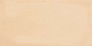 Imola Gesso Terracotta 10x20