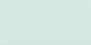 Imola Icona Latte Menta 10x20