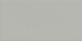 Imola Icona Grigio 10x20