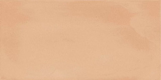 Imola Gesso Mattone 10x20