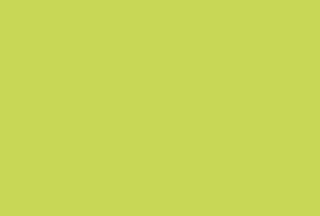 Imola Let It Bee V 12x18