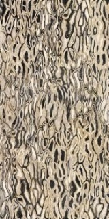 Imola The Room Ghepard6 260 LP 120x260