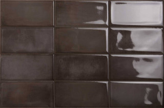 Iris Be In Brown 10x20