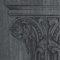 Iris Capital Elm Formella 20x20
