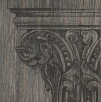 Iris Capital Larch Formella 20x20