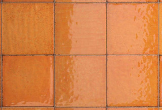 Iris Maiolica Arancio 20x20