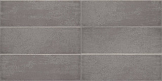 Iris Maiolica Grigio 10x30