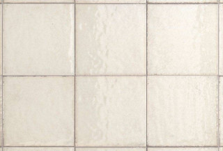 Iris Maiolica Crema 20x20