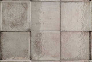 Iris Maiolica Grigio 20x20