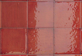 Iris Maiolica Rosso 20x20