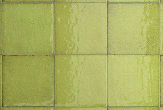 Iris Maiolica Mela 20x20